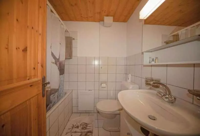 ホテル Gasthaus Alpina Salouf