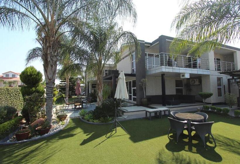 膳宿费 Cycad Palm Boutique Guest House