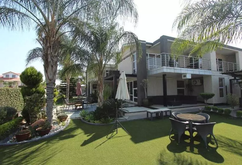 پانسیون Cycad Palm Boutique Guest House