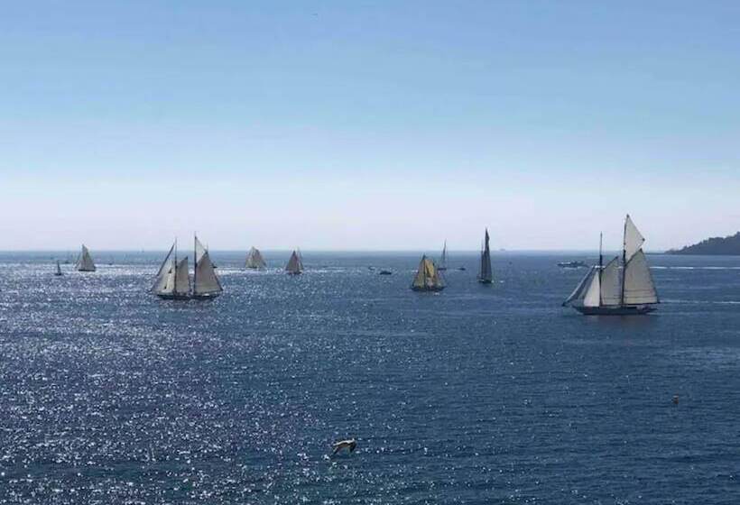 Residence La Palme D Azur Cannes