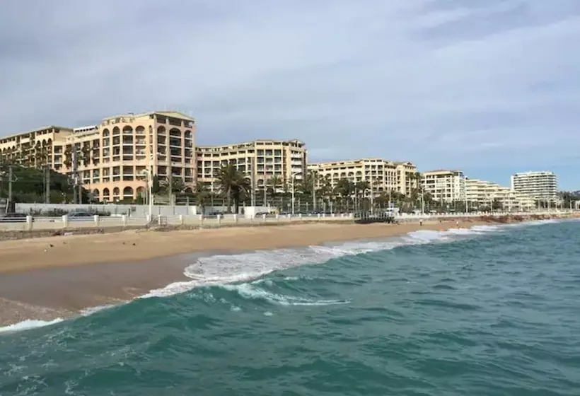 Residence La Palme D Azur   Cannes