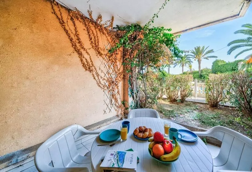 Residence La Palme D Azur   Cannes