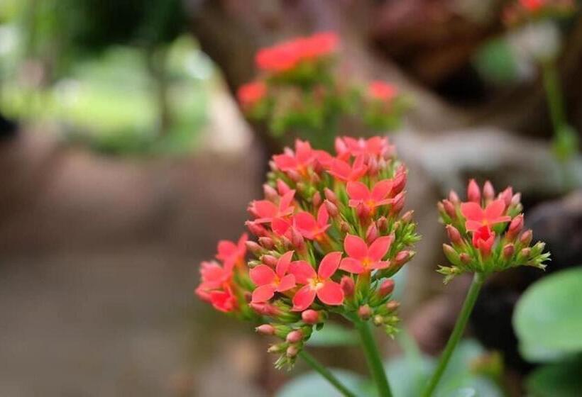 هتل Sai Nam Wang Resort