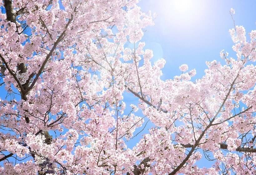 캡슐 호텔 Akihabara Bay