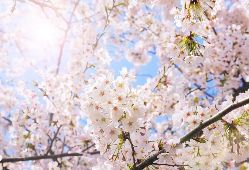 캡슐 호텔 Akihabara Bay