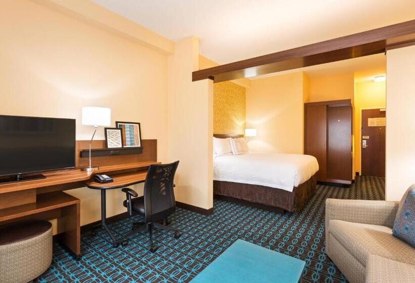 ホテル Fairfield Inn & Suites By Marriott Johnson City