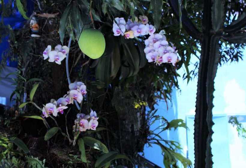 בית מלון כפרי Porto Bahia