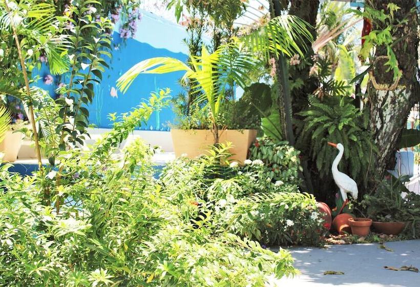 בית מלון כפרי Porto Bahia