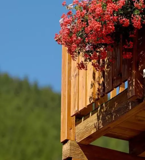 Park Hotel Saas Fee