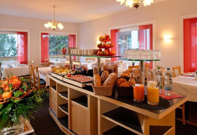 Park Hotel Saas  Fee