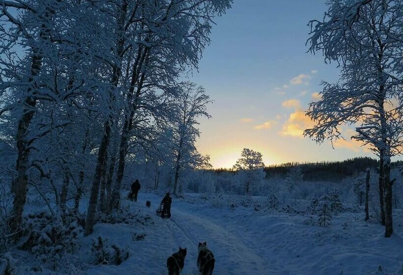Vestvatn   Arctic Cabins