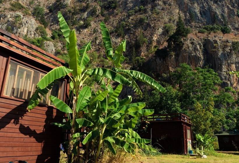 Отель Kelebekler Vadisi Butterfly Valley