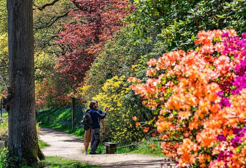 Отель Leonardslee House