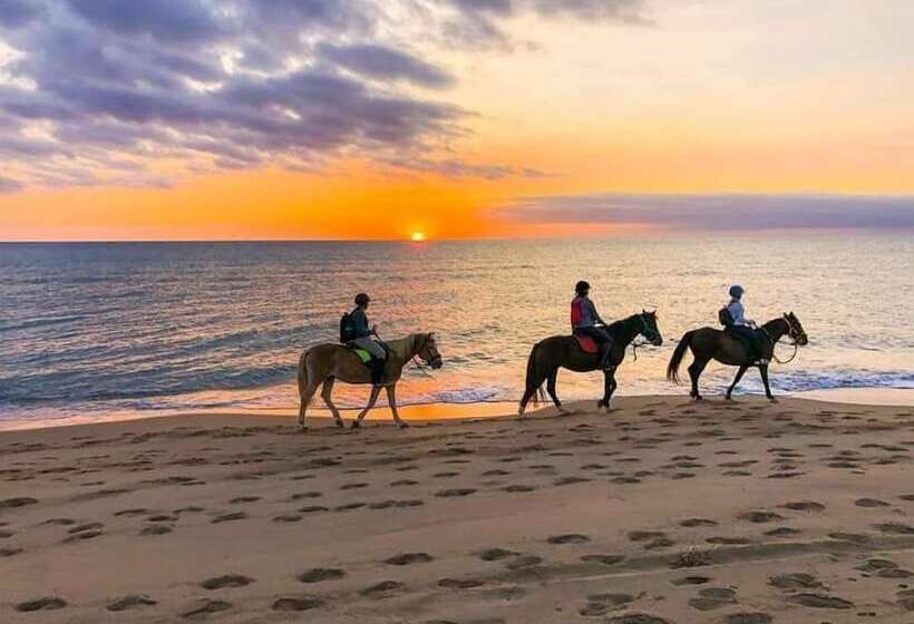 בית מלון כפרי Roccaseta Dimore Siciliane