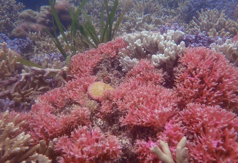 酒店 The High Dive Gili Gede