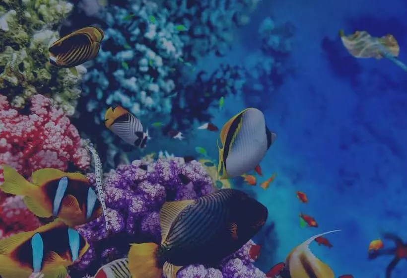 ホテル The High Dive Gili Gede