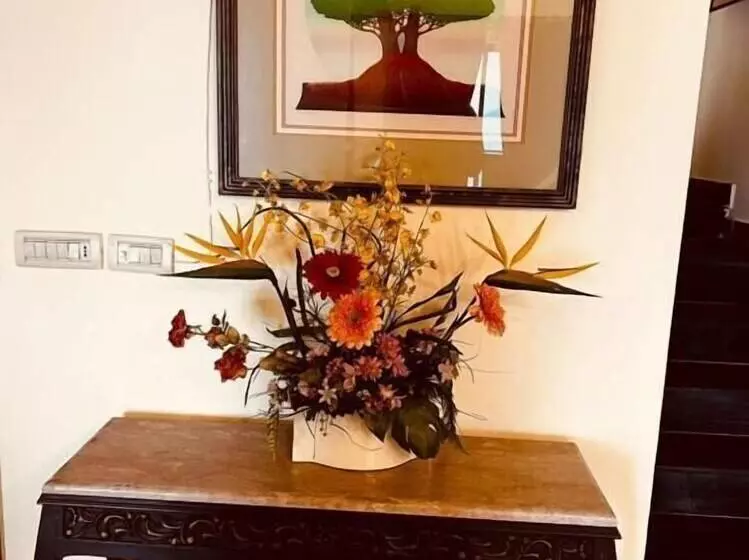 Reina Boutique Hotel   Murree