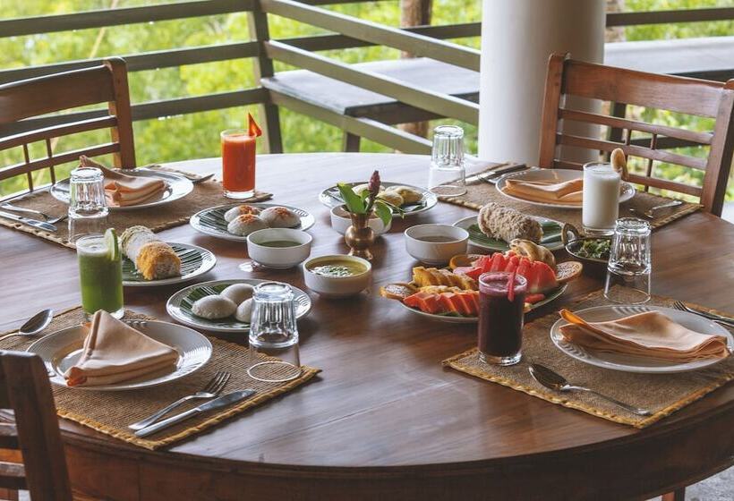 Resort Amara Ayurveda Retreat