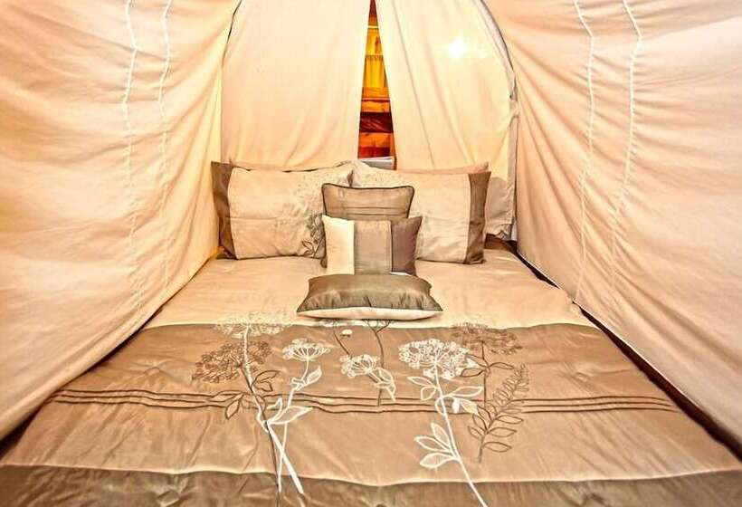 渡假胜地  Diamonds Old West