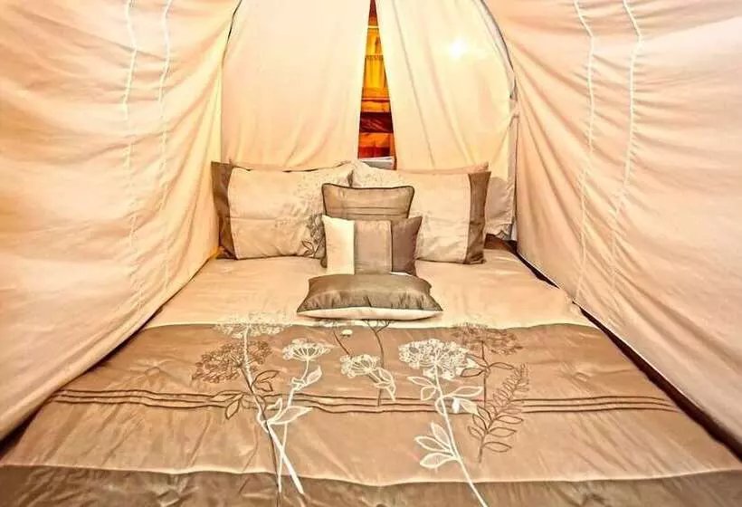 Lomakeskus Diamonds Old West