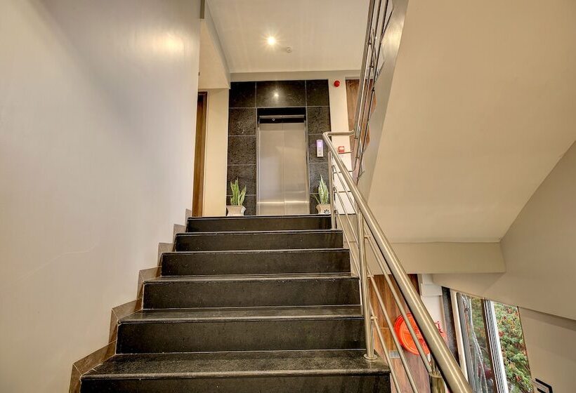 Szálloda Magnus Fortune House, Business