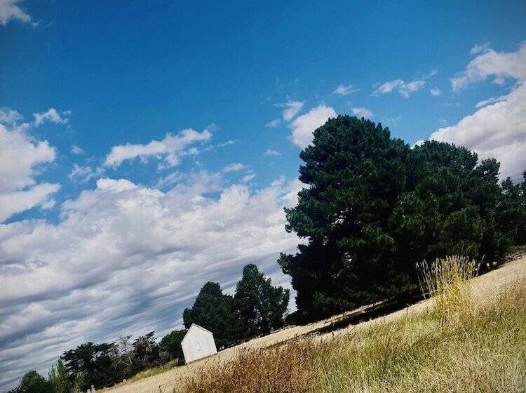 ベッドアンドブレックファースト St Andrew S Inn