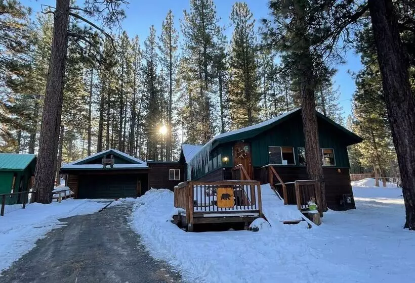 Evergreen Paradise