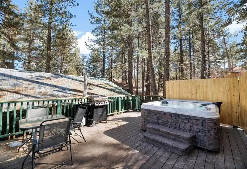 Evergreen Paradise