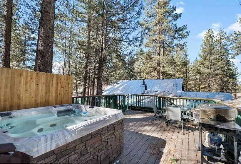 Evergreen Paradise