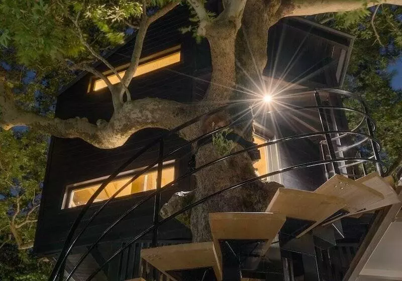 Hotelli Aoos River Treehouse