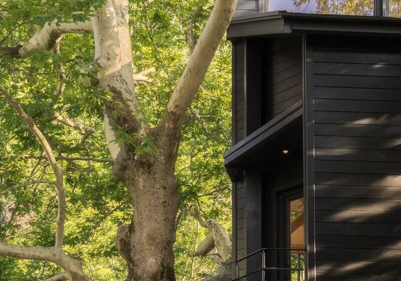 Hotel Aoos River Treehouse