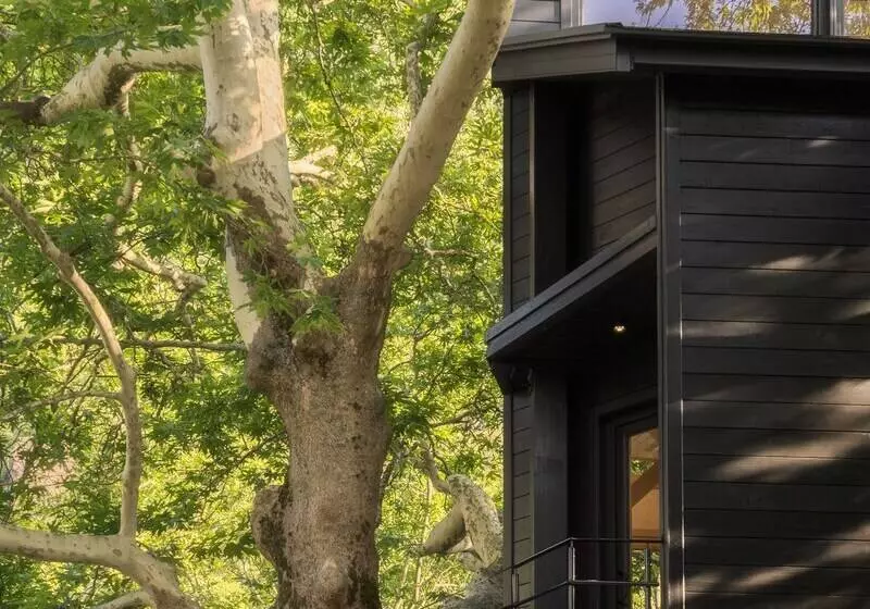 Hotelli Aoos River Treehouse