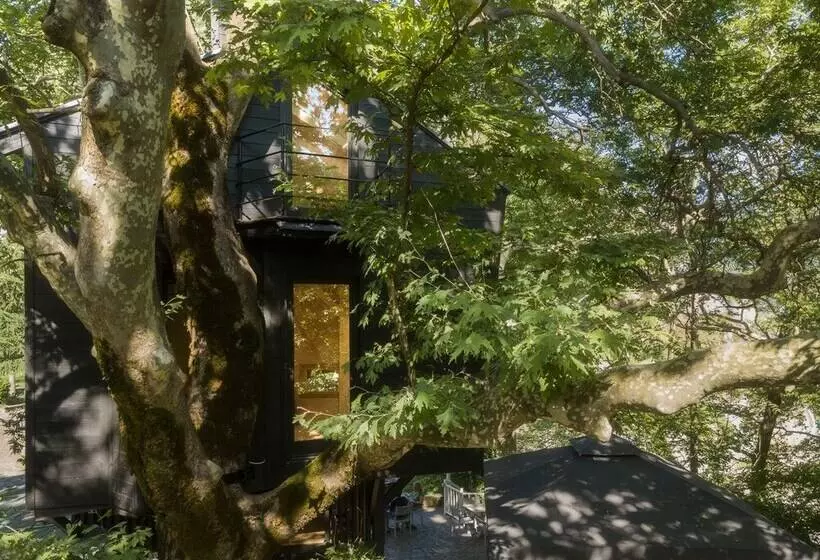 Hotelli Aoos River Treehouse