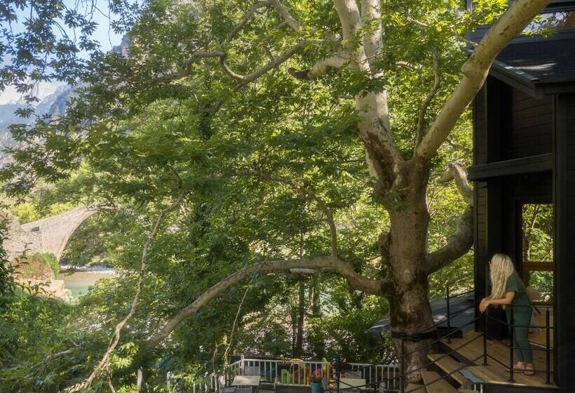 Hotel Aoos River Treehouse