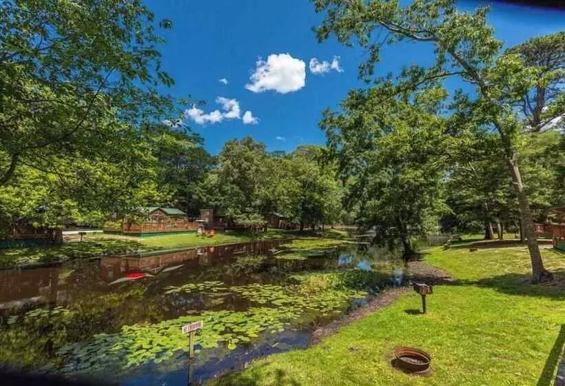 Hotelli Pine Haven Campground