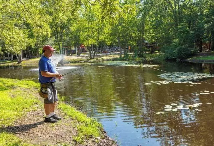 Hotelli Pine Haven Campground