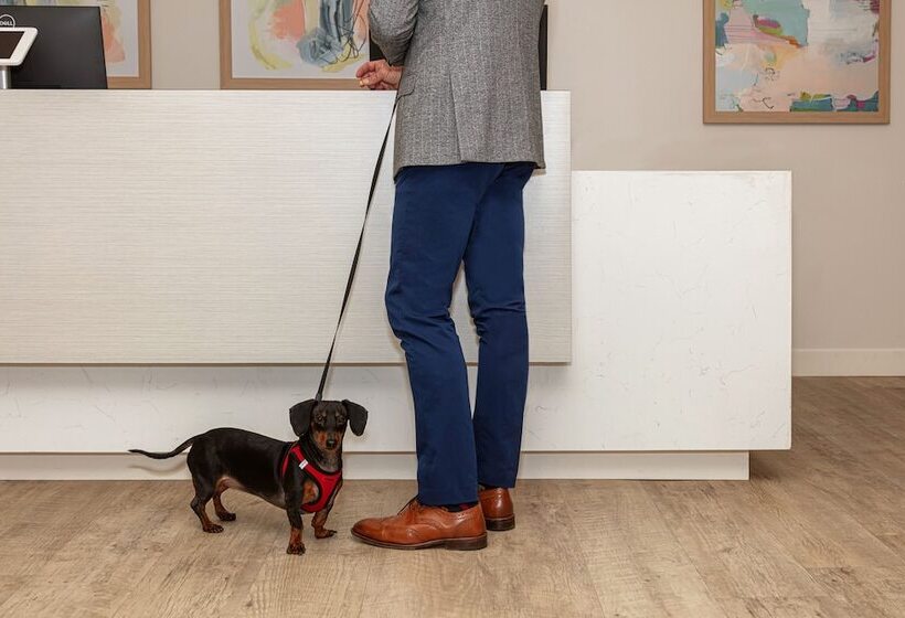 هتل Waterwalk Extended Stay By Wyndham Jacksonville Deerwood Pk