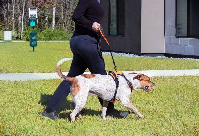 هتل Waterwalk Extended Stay By Wyndham Jacksonville Deerwood Pk