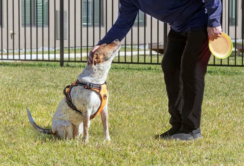 هتل Waterwalk Extended Stay By Wyndham Jacksonville Deerwood Pk