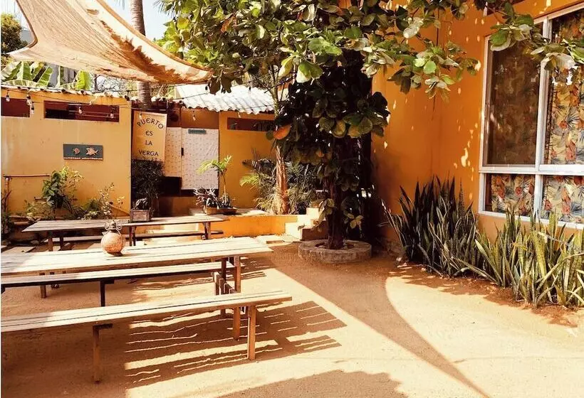 La Palmera Hostel