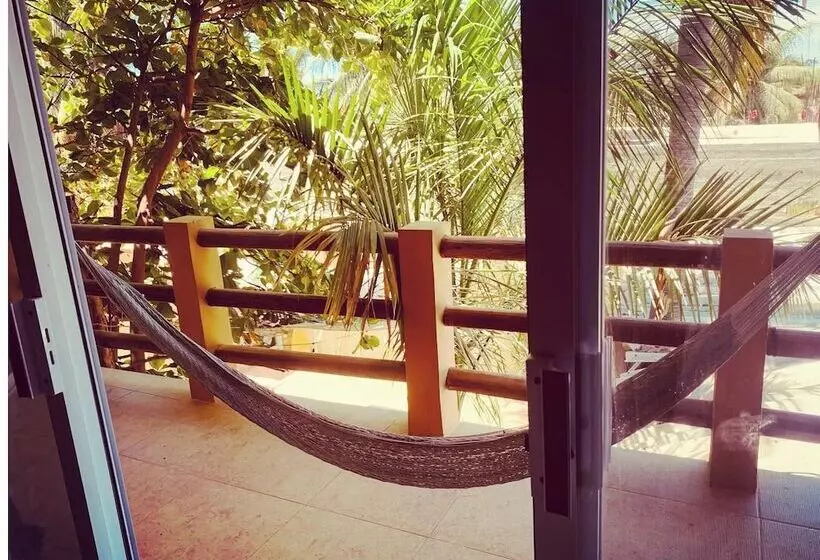 La Palmera Hostel