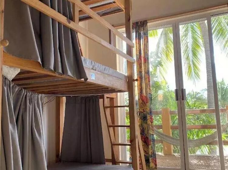 La Palmera Hostel