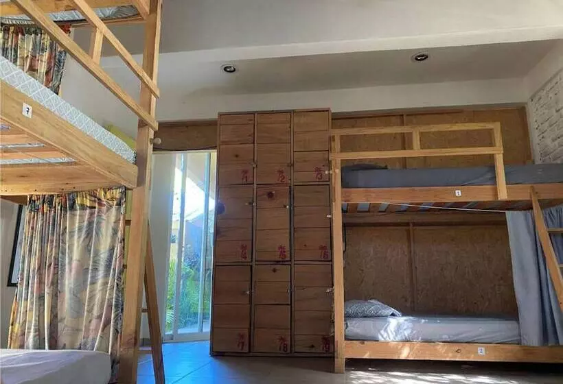 La Palmera Hostel