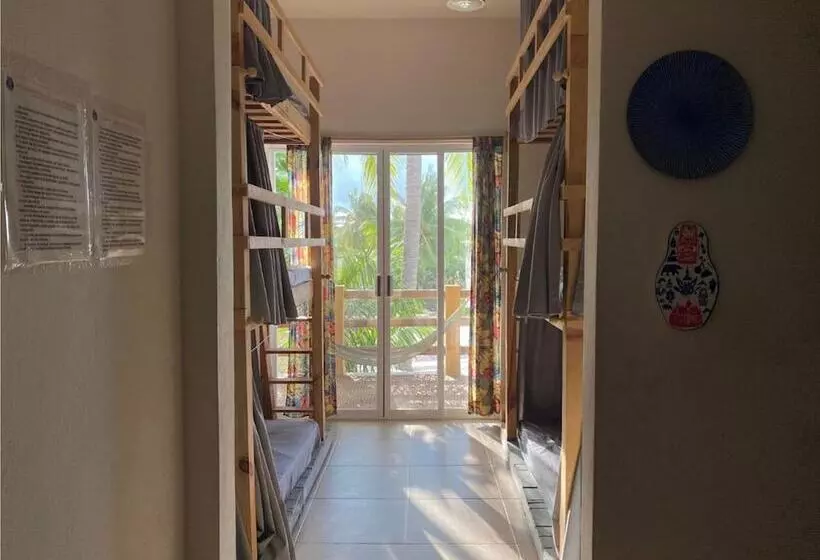 La Palmera Hostel