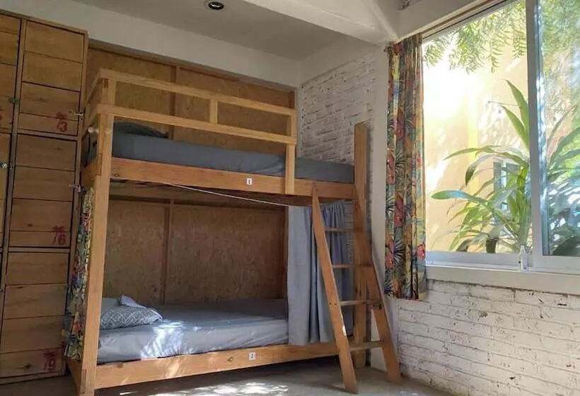La Palmera Hostel