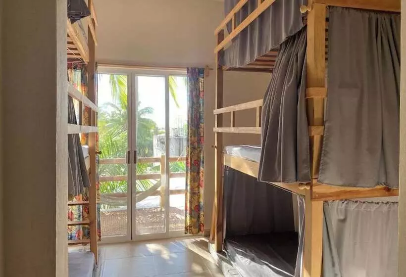 La Palmera Hostel
