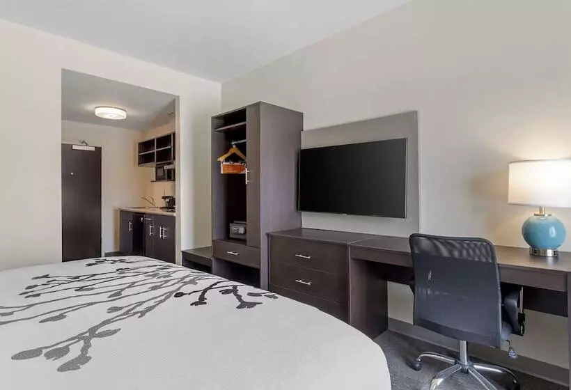 Sleep Inn & Suites