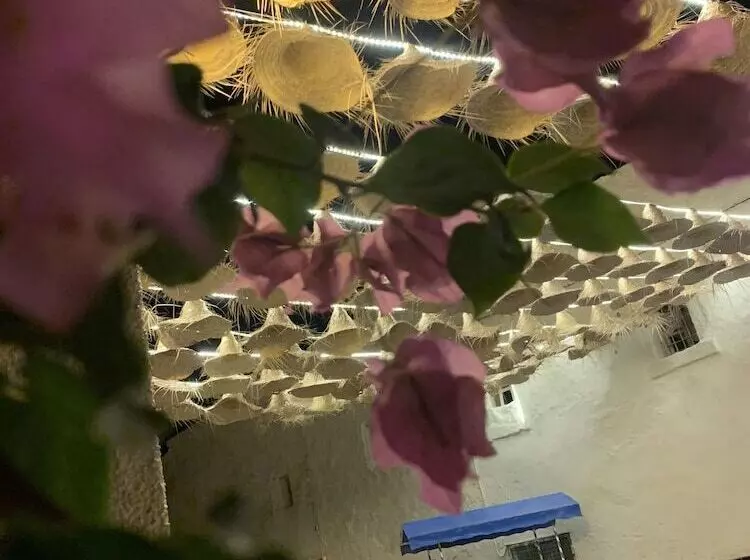 Aamiaismajoitus (B&B) Dar Lola