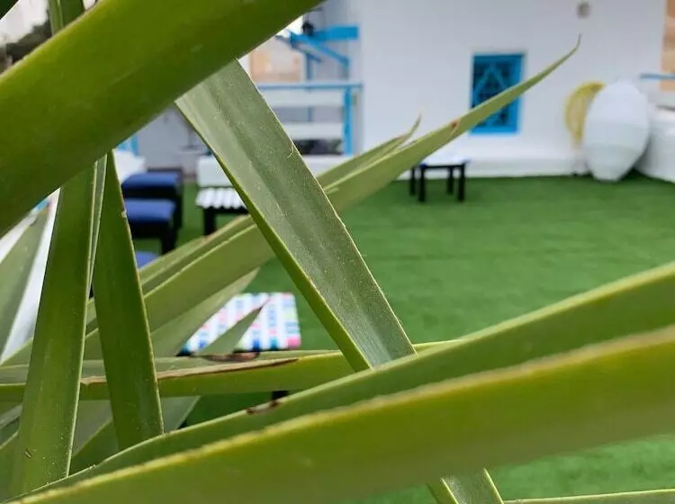 Aamiaismajoitus (B&B) Dar Lola