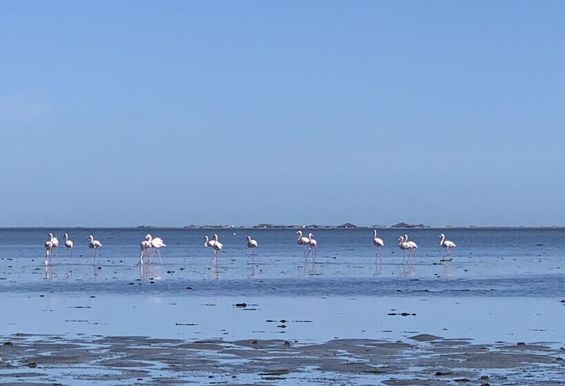 Bed and Breakfast Dar Lola